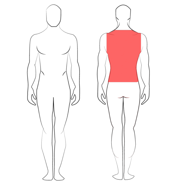 Espalda - Imagen 3