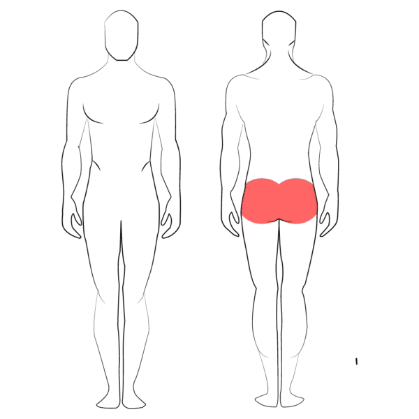 Glúteos - Imagen 3