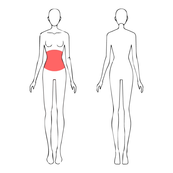 Abdomen - Imagen 2